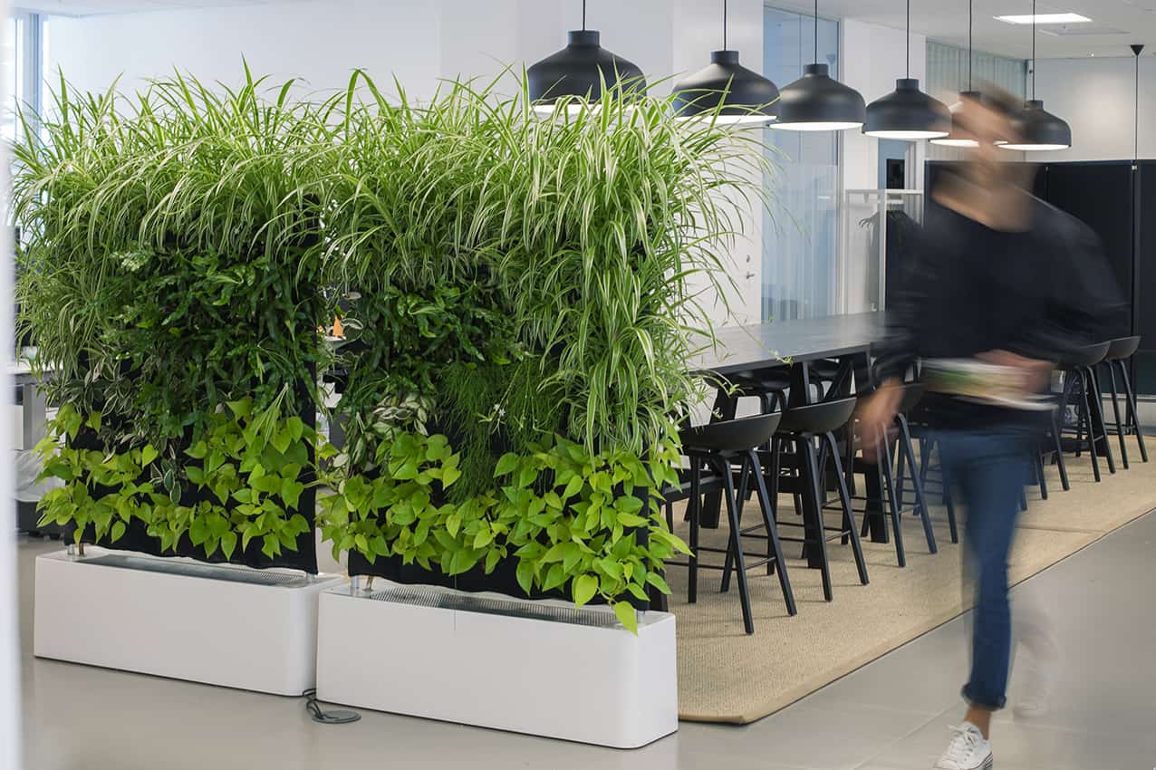 Moving-hedge-Flyttbar-växtvägg