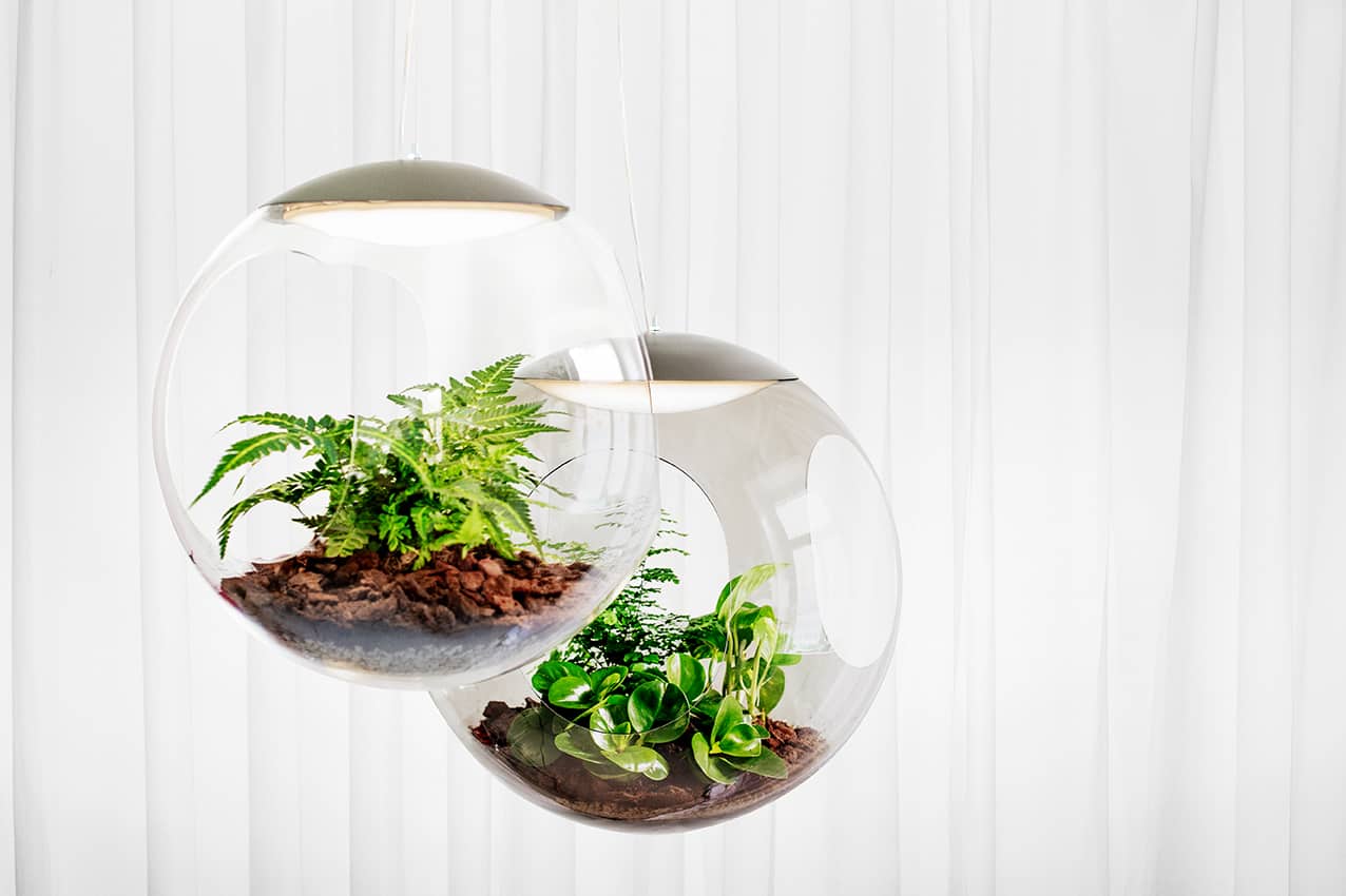 Pendlande-växtarmaturer